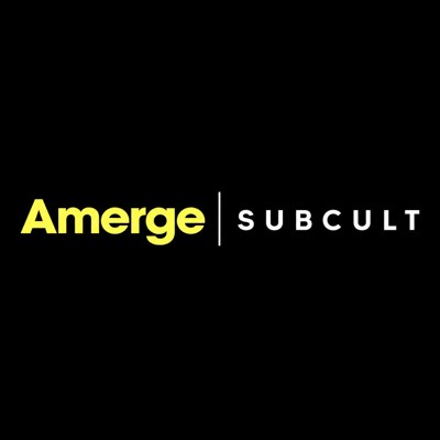 Levi — Amerge × The Park × Subcult